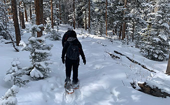 people on snowshoes